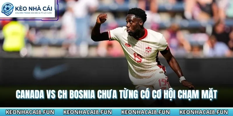 Canada vs CH Bosnia chưa từng có cơ hội chạm mặt