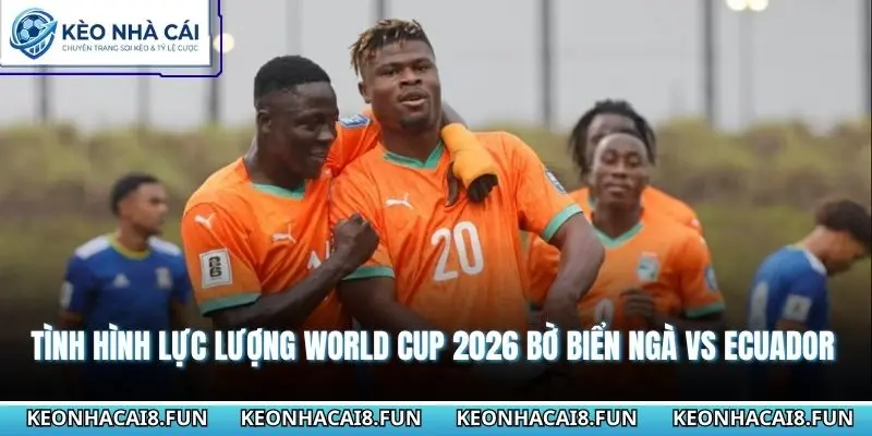 Tình hình lực lượng World Cup 2026 Bờ Biển Ngà vs Ecuador 